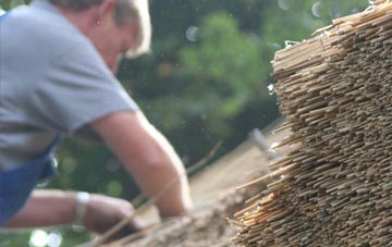 professional Willey thatchers